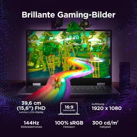 Lenovo LOQ Essential 15IRX11 Intel Core i5-13450HX 16 GB RAM 512 GB SSD RTX 5050 83SC0027GE