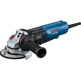 Bosch GWS 17-125 PS Professional 06017D1300