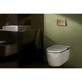 Hansgrohe iFrame Element E Betätigungsplatte für 2-Mengen-Spülung, brushed bronze