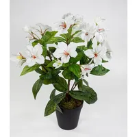Seidenblumen Roß Hibiskus 40cm weiß-Creme im Topf ZF künstliche