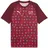 Puma Schweiz Trainingsshirt 2024 rot Herren Gr. XL