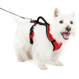 PetSafe EasySport Hundegeschirr Rot