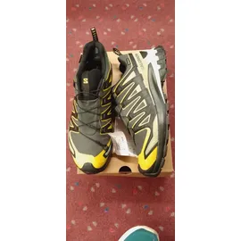 Salomon XA Pro 3D V9 GTX Herren Urban Chic/Black/Cress Green 44 2/3