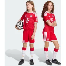 adidas FC Bayern München Heimshorts 2026/27 rot Kinder Gr. 164