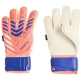 adidas Predator Match Signal Coral/White/Lucid Blue 10,5