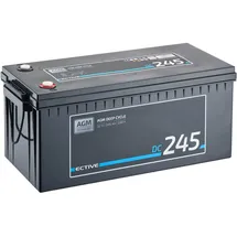 Ective DC 245 AGM Deep Cycle 245Ah Versorgungsbatterie