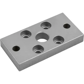 Riegler Front- oder Bodenflansch ISO 21287 Kolben-Ø 25