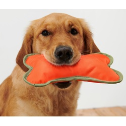 Tchibo - Hundespielzeug »Knochen« - olivgrün