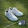 adidas Retrocross 25 Spikeless Golfschuh - 38,5