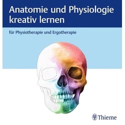 Anatomie und Physiologie kreativ lernen für Physiotherapie und Ergotherapie