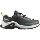 Salomon X Raise Goretex Hiking Shoes Grau EU 35