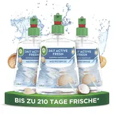 Airwick Air Wick Active Fresh – Aeorosolfreier, automatischer Lufterfrischer – Raumduft Meeresbrise – 3 x 228 ml Nachfüller