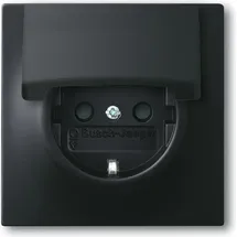 Busch-Jaeger Steckdoseneinsatz 20 EUK-775 Schwarz 1 St.