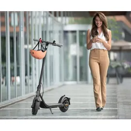 Segway-Ninebot F20D schwarz