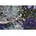 star trading deutschland gmbh LED-Lichterkette 5 m Schwarz warmweiß
