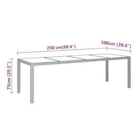vidaXL Gartentisch 250x100x75 cm Hartglas und Poly Rattan Grau