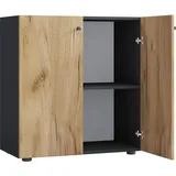 VCM my office Aktenschrank L Lona, 919443 anthrazit, honig-eiche 1 Fachboden 70,0 x 39,0 x 74,0 cm