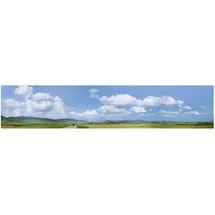 FALLER Modellhintergrund Schwarzwald-Baar 180514 H0/TT/N