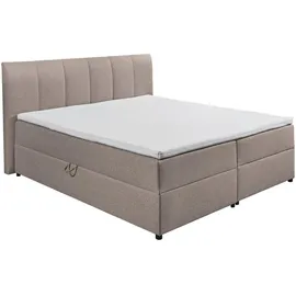 ed exciting design Boxspringbett GRAZIA 180 x 200 cm - Braun/Beige