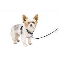 PetSafe 3 in 1 Geschirr & Rückhaltegurt für Hunde, Mit Anti-Zieh-Ring und Rückhaltegurt fürs Auto, Größe XS, Schwarz