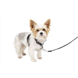 PetSafe 3 in 1 Geschirr & Rückhaltegurt für Hunde, Mit Anti-Zieh-Ring und Rückhaltegurt fürs Auto, Größe XS, Schwarz