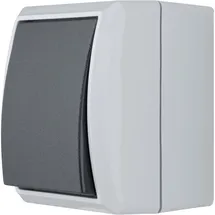 REV Ritter REV AquaForm, Hellgrau 0511651777 1St.