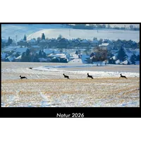 Vero Kalender Natur 2026 Fotokalender DIN A3 von Tobias