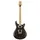 PRS SE Swamp Ash Special Charcoal - E-Gitarre