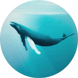 KOMAR Fototapete „Whale Watching“ Tapeten 125 x 125 cm Gr. B/L: 125 m x 125 m, Rollen: 1 St., blau Fototapeten Comic