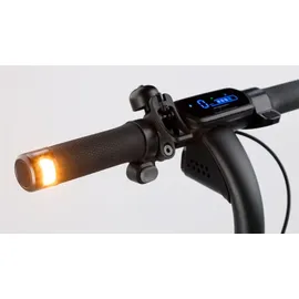 Segway Ninebot Kickscooter E2 D schwarz