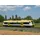 Trix Dieseltriebwagen Regio Shuttle RS1 Baureihe 650 25966 H0