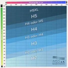 MSS e.K. MedicSpring 2-in-1 140 x 200 cm H2/H3