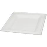 Wisefood Einwegteller quadratisch 20 cm 100er Set weiß