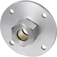 IFM Flanschplatte E43005