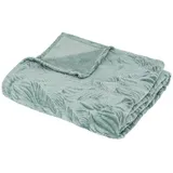 Atmosphera Créateur d'intérieur Kuscheldecke 180 x 230 cm Blau