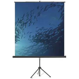 Magnetoplan Cineflex 150x150 1:1