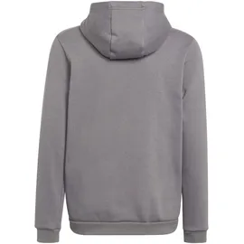 Adidas Entrada 22 Sweat Hoodie Team Grey Four, 176