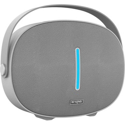 W-king Wireless Bluetooth Speaker T8 30W (silver), Bluetooth Lautsprecher