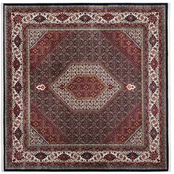 Teppich  Aleyna Bidjar , rot , Synthetische Fasern , Maße (cm): B: 200 H: 0,6