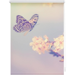 Lichtblick Rollo Klemmfix, ohne Bohren, Verdunkelung, Schmetterling - Rosa