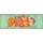 Wash+Dry Funky Fish 60 x 180 cm Mehrfarbig