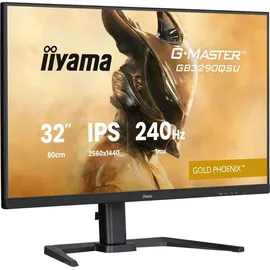 Iiyama GB3290QSU 80cm 31,5"