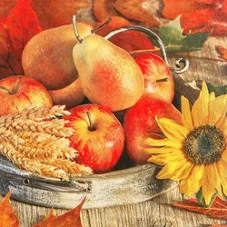 Home Fashion®, Thanksgiving, Lunch-Servietten aufgefaltetes Maß 33 cm x 33 cm, im Viertelfalz, 20 Stück pro Pack