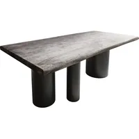 DeLife Esstisch Edge 200x100 XL Akazie Platin Troa Metall