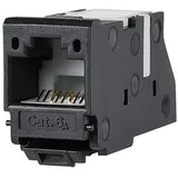 BTR Netcom UAE modul 8(8) Cat.6A Buchse