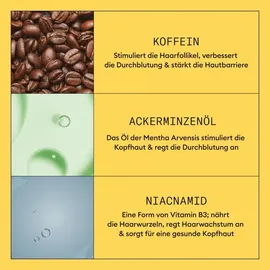 Wella Nioxin System 1 Scalp + Hair Treatment Serum 100 ml