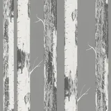 Rasch Textil Rasch home style Tapete 285420 - Graue Papiertapete mit Birkenstämmen, Birkenwald - 10,05m x 0,53m