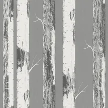 Rasch Textil Rasch home style Tapete 285420 - Graue Papiertapete mit Birkenstämmen, Birkenwald - 10,05m x 0,53m