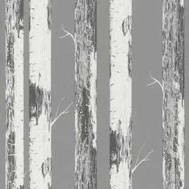 Rasch Textil Rasch home style Tapete 285420 - Graue Papiertapete mit Birkenstämmen, Birkenwald - 10,05m x 0,53m