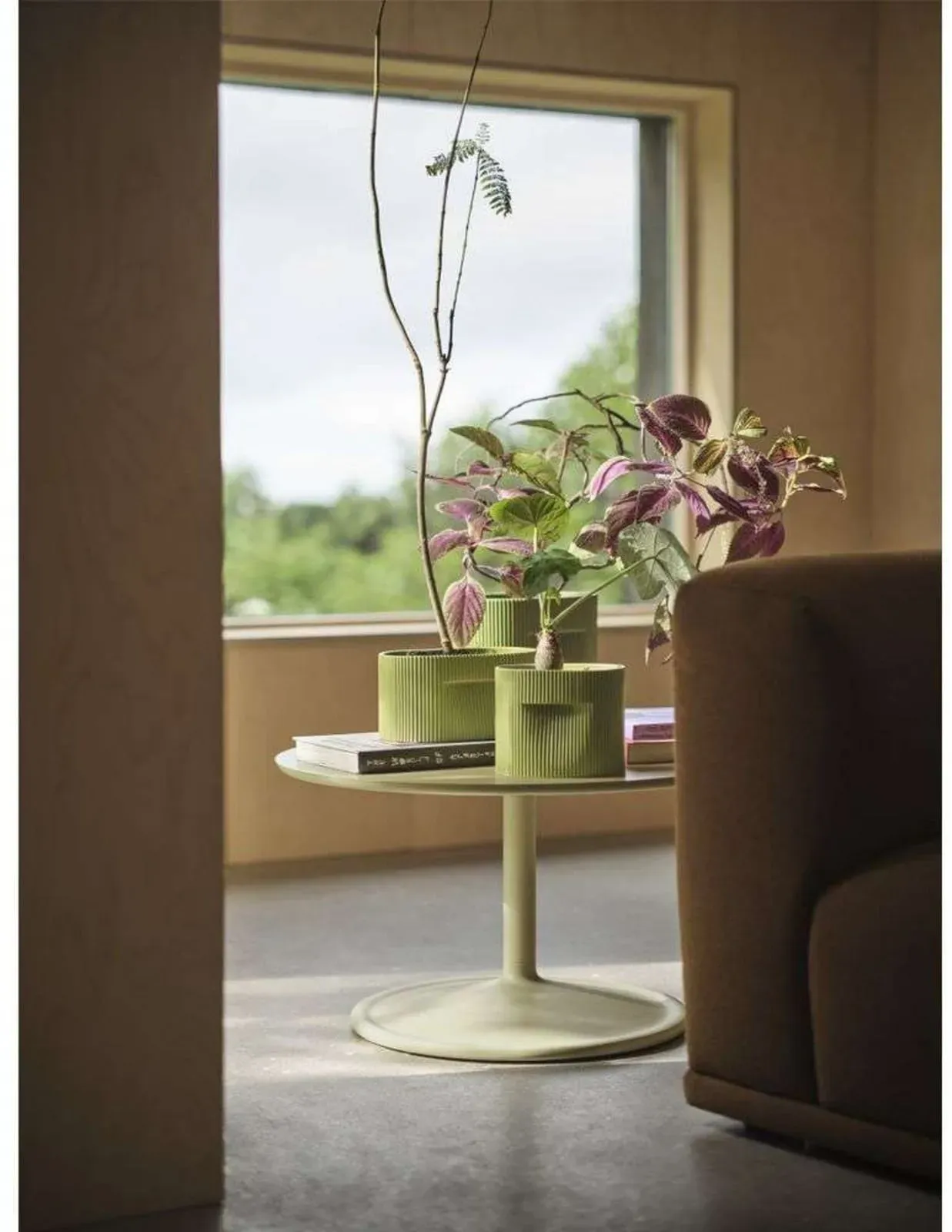 Pflanzenkasten Muuto, Weiß, Gips / Ton - 18.5 - 14.5 - 15.2